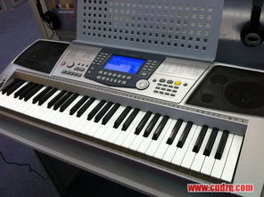 2010年中国 上海 国际乐器展览会之吟飞普及型电子琴产品现场图片报道